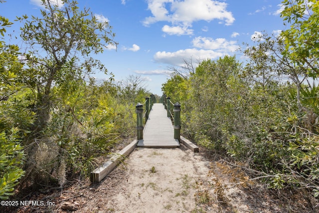 2695 Morning Light Ct, Flagler Beach, FL 32136 - view of home's community