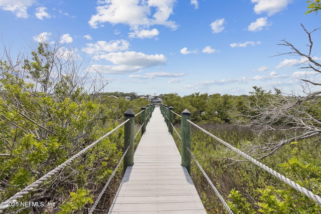 2695 Morning Light Ct, Flagler Beach, FL 32136 - view of surrounding community