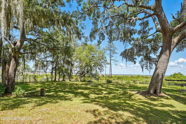 1205 Eagle Bend Ct, Jacksonville, FL 32226 - view of yard