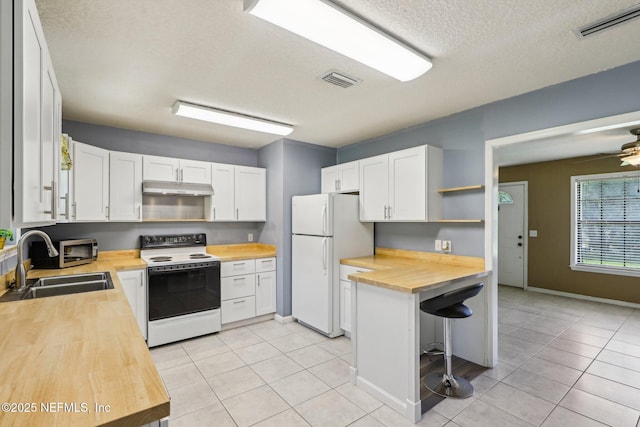 10 Sesame St, Middleburg, FL 32068 - kitchen with wooden counters, white appliances, under cabinet range hood, a sink, and open shelves