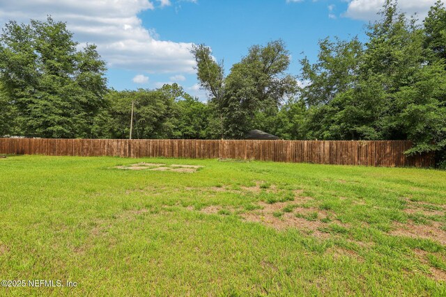 10 Sesame St, Middleburg, FL 32068 - view of yard