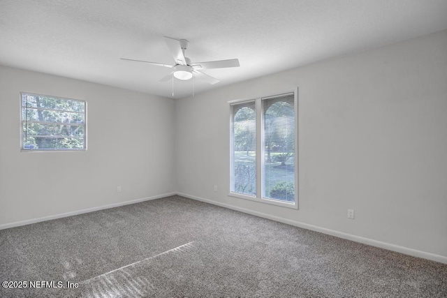 10859 Windy Gale Dr W, Jacksonville, FL 32218 - carpeted spare room featuring plenty of natural light, a ceiling fan, and baseboards