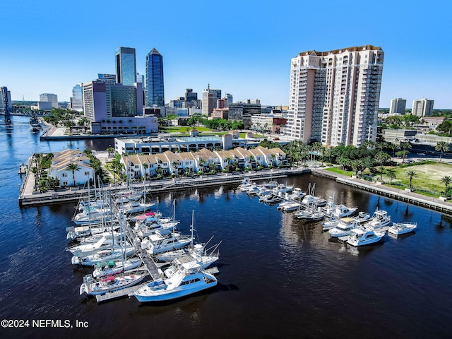 400 E Bay St Unit 1505, Jacksonville, FL 32202 - water view featuring skyline and numerous boat docks