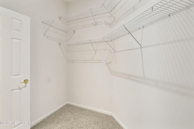 3384 Olympic Dr, Green Cove Springs, FL 32043 - view of spacious closet