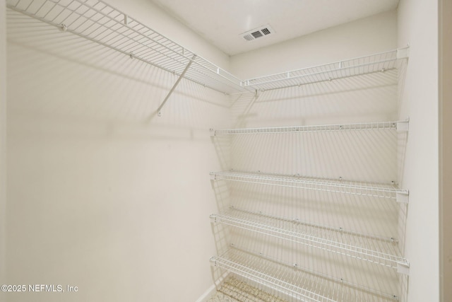 3384 Olympic Dr, Green Cove Springs, FL 32043 - view of walk in closet