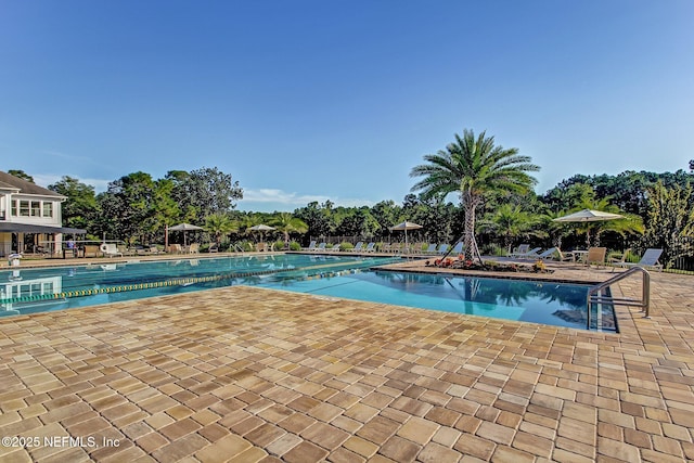 3384 Olympic Dr, Green Cove Springs, FL 32043 - community pool featuring a patio