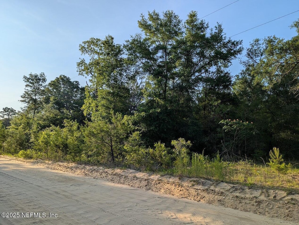 0440-0090 Adrian Ave, Interlachen, FL 32148