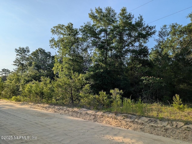 0440-0090 Adrian Ave, Interlachen, FL 32148