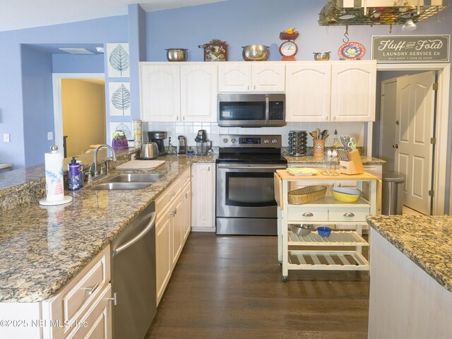 10031 SW 62nd Cir, Ocala, FL 34476 - kitchen featuring appliances with stainless steel finishes, a sink, light stone counters, and decorative backsplash