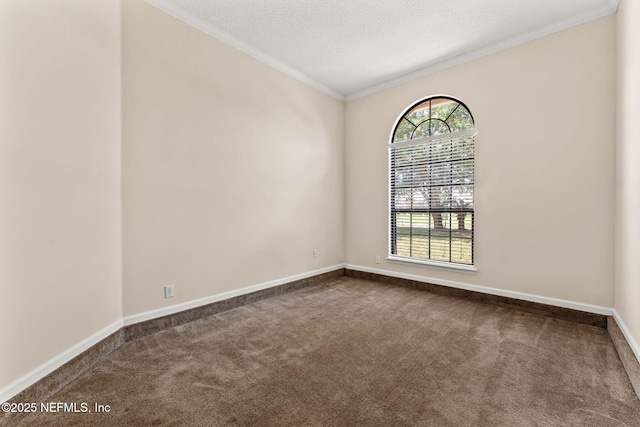 12274 Franklin Brook Ln, Jacksonville, FL 32225 - photo 5