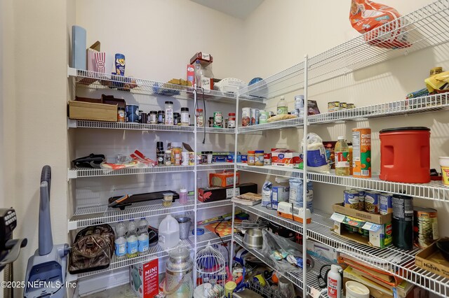 1071 Wetland Ridge Cir, Middleburg, FL 32068 - view of pantry