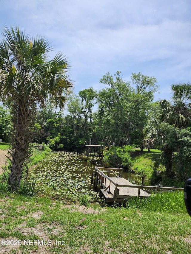 109 Laurel Ln, Crescent City, FL 32112 - surrounding community featuring a boat dock and a water view