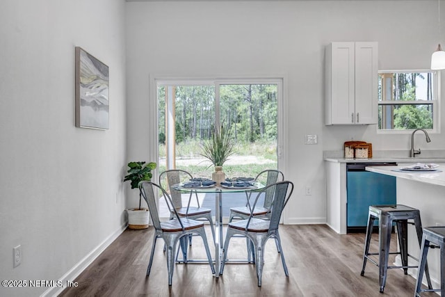 4410 Vicki St, Hastings, FL 32145 - dining space featuring wood finished floors and baseboards