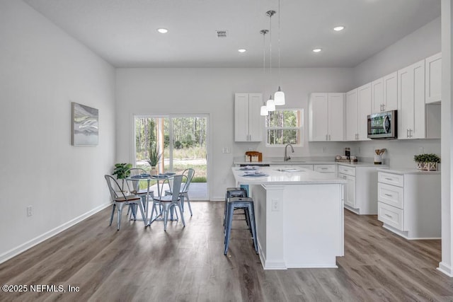 4410 Vicki St, Hastings, FL 32145 - kitchen with stainless steel microwave, a sink, light countertops, healthy amount of natural light, and recessed lighting