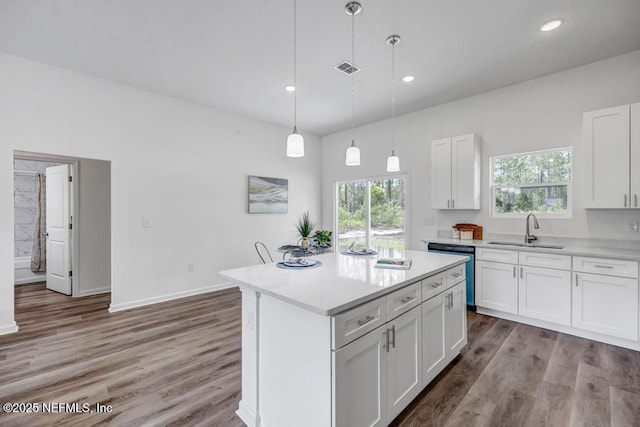 4410 Vicki St, Hastings, FL 32145 - kitchen featuring a sink, dishwasher, healthy amount of natural light, wood finished floors, and recessed lighting