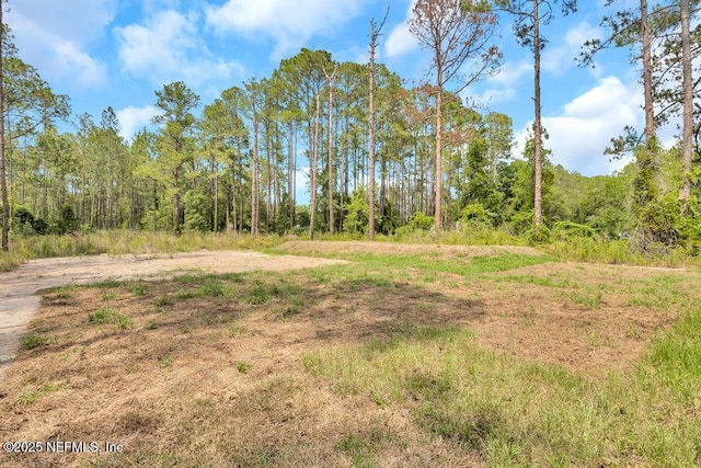 4410 Vicki St, Hastings, FL 32145 - view of tree filled area