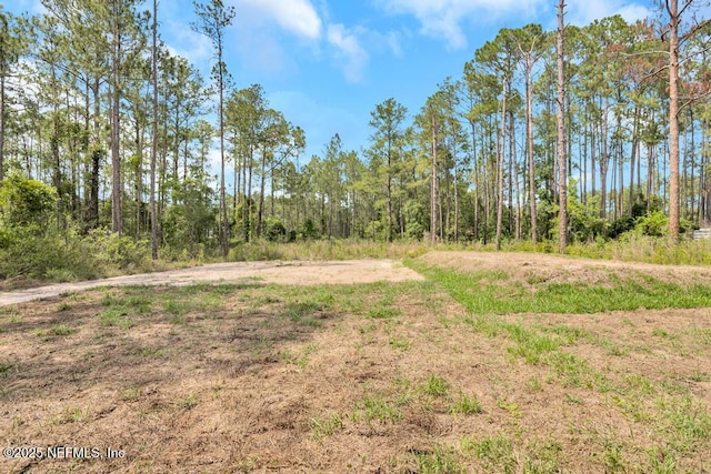 4410 Vicki St, Hastings, FL 32145 - view of local wilderness
