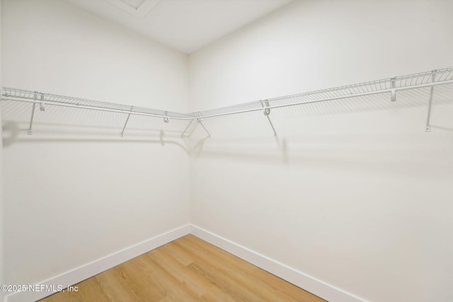 walk in closet with light wood-style flooring