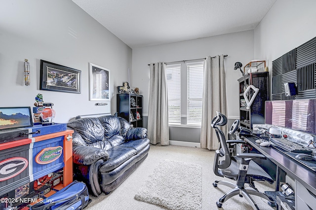 3051 Paddle Creek Dr, Green Cove Springs, FL 32043 - home office featuring carpet