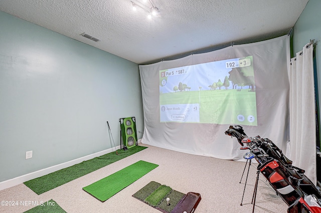3051 Paddle Creek Dr, Green Cove Springs, FL 32043 - playroom featuring carpet, golf simulator, and a textured ceiling