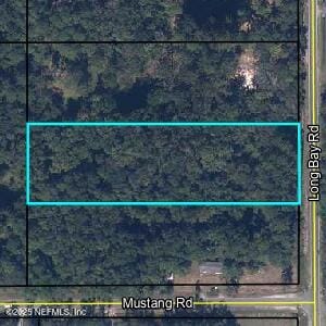 3966 Mustang Rd, Middleburg, FL 32068 - map of property location featuring property boundaries highlighted