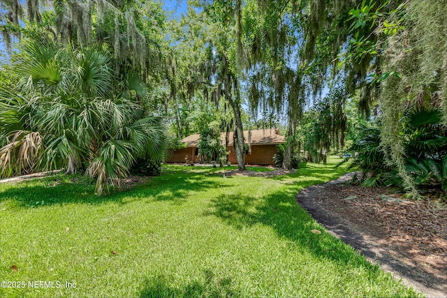 79 Sanchez Dr E, Ponte Vedra Beach, FL 32082 - view of grassy yard