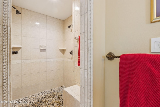 166 Mount Royal Ave, Crescent City, FL 32112 - bathroom featuring a shower stall