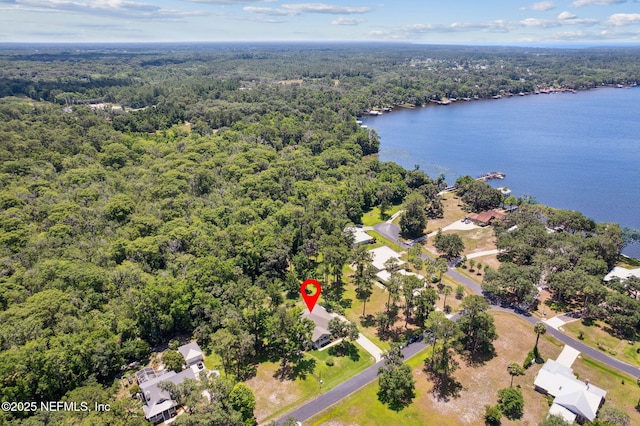 166 Mount Royal Ave, Crescent City, FL 32112 - bird's eye view of a forest and a large body of water