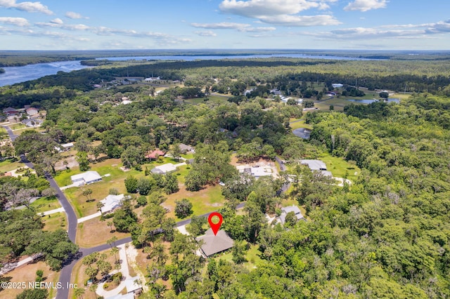 166 Mount Royal Ave, Crescent City, FL 32112 - aerial view of property's location featuring a forest and a nearby body of water
