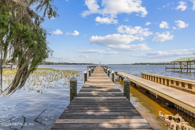 166 Mount Royal Ave, Crescent City, FL 32112 - dock featuring a water view