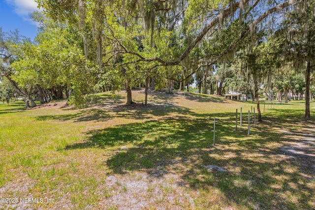166 Mount Royal Ave, Crescent City, FL 32112 - view of grassy yard