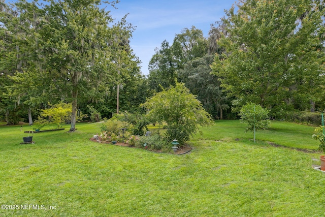166 Mount Royal Ave, Crescent City, FL 32112 - view of green lawn