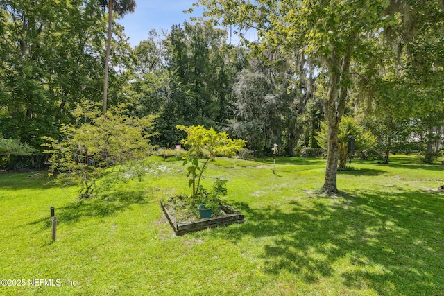 166 Mount Royal Ave, Crescent City, FL 32112 - view of grassy yard with a vegetable garden