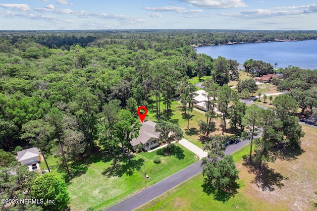 166 Mount Royal Ave, Crescent City, FL 32112 - bird's eye view of a forest and a large body of water