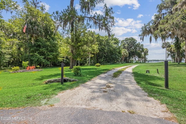 166 Mount Royal Ave, Crescent City, FL 32112 - view of property's community featuring a yard and view of scattered trees