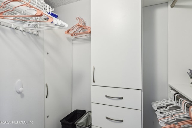 4250 A1A S Unit C15, Saint Augustine, FL 32080 - view of walk in closet