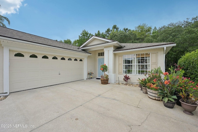 1494 Cedar Grove Ter, Fleming Island, FL 32003 - ranch-style house with concrete driveway, roof with shingles, a garage, and stucco siding