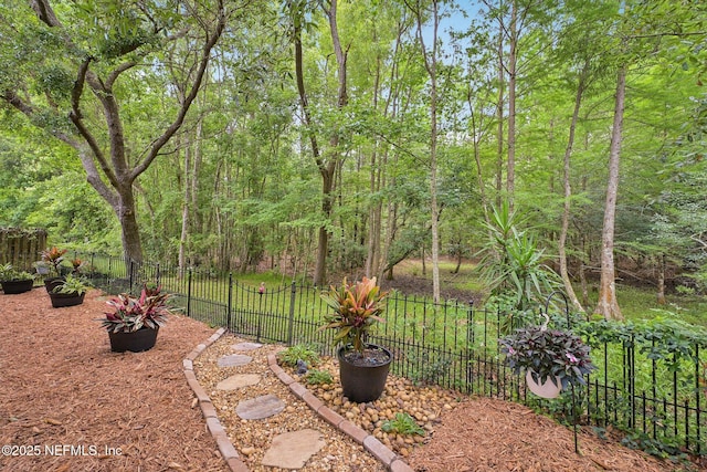 1494 Cedar Grove Ter, Fleming Island, FL 32003 - view of yard
