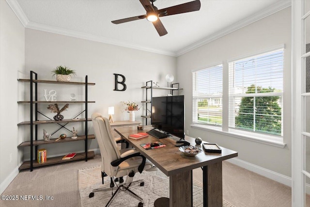 710 Stillwater Blvd, Saint Johns, FL 32259 - office space featuring light carpet, a ceiling fan, baseboards, and ornamental molding