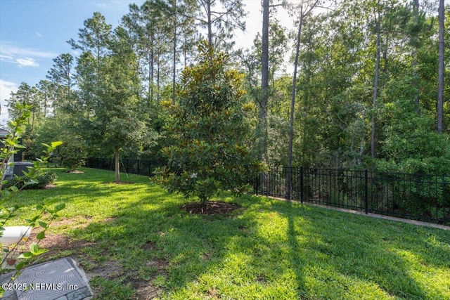 710 Stillwater Blvd, Saint Johns, FL 32259 - view of yard
