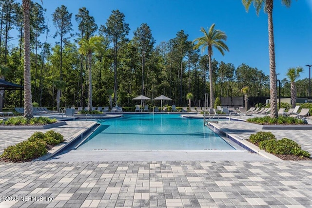 710 Stillwater Blvd, Saint Johns, FL 32259 - community pool featuring a patio