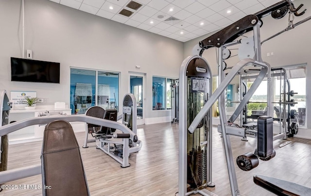 244 Caribbean Pl, Saint Johns, FL 32259 - exercise room featuring wood finished floors, a towering ceiling, a drop ceiling, and baseboards