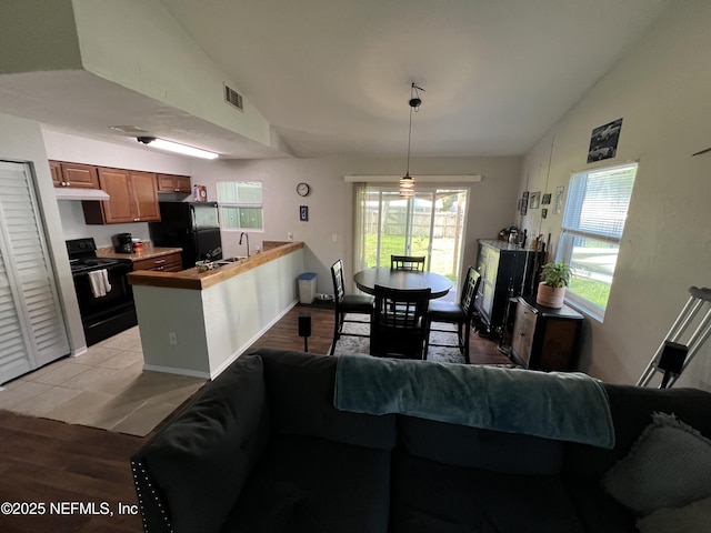 117 Eliam Rd, Melrose, FL 32666 - living room with lofted ceiling and light wood-style flooring