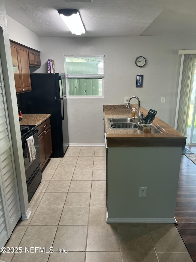 117 Eliam Rd, Melrose, FL 32666 - kitchen featuring a sink, black appliances, a peninsula, and plenty of natural light