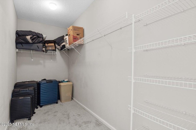 1011 Wetland Ridge Cir, Middleburg, FL 32068 - spacious closet with carpet floors
