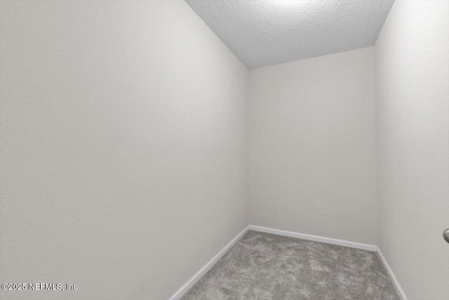 1011 Wetland Ridge Cir, Middleburg, FL 32068 - empty room featuring carpet, baseboards, and a textured ceiling
