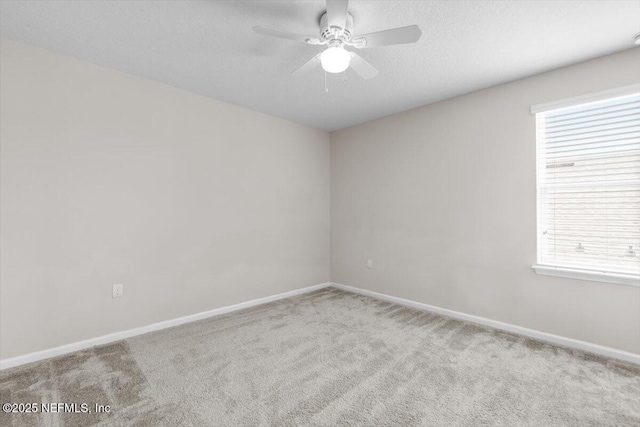 1011 Wetland Ridge Cir, Middleburg, FL 32068 - carpeted empty room with ceiling fan, healthy amount of natural light, baseboards, and a textured ceiling