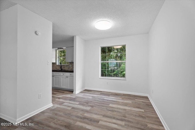 318 W Lafayette St, Starke, FL 32091 - empty room featuring a textured ceiling, light wood finished floors, baseboards, a sink, and a smoke detector