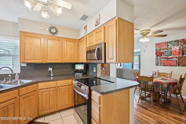 1515 Husson Ave, Palatka, FL 32177 - kitchen with appliances with stainless steel finishes, ceiling fan, a textured ceiling, a sink, and healthy amount of natural light