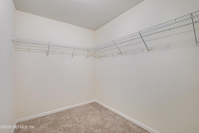 6775 Sandle Dr, Jacksonville, FL 32219 - photo 22